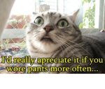 wear pants.jpg wear pants.jpg