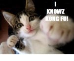 kong fu.jpg kong fu.jpg