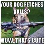 military-humor-your-dog-fetches-balls-rifle.jpg