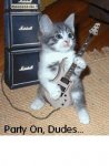 guitar kitty.jpg