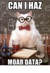 cat prof.JPG