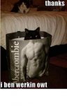 cat in bag muscles.JPG