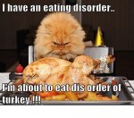 cat turkey.jpg
