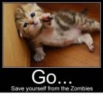 zombie kitty.jpg