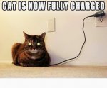 fullycharged.jpg