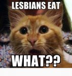 lesbianseatwhat.jpg