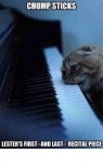 piano cat.JPG