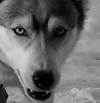 2014-08-20 00.31.29.jpg