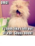 Seuss Cat.jpg