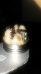 quad coil.jpg