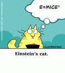 einstein-cat.gif