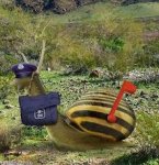 snail delivery.jpg