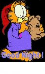 gnite garfield.jpg