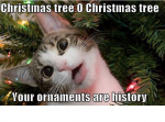 cat ornaments.png