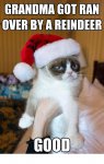 santa cat2.jpg