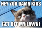 grump cat lawn.jpg