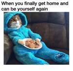 cookie cat.jpg