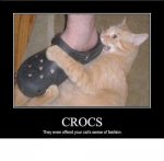 crocs.jpg