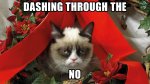 Funny-Christmas-Cat-Meme-241.jpg