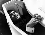 dracula+crypt.jpg