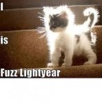 fuzzlightyear.jpg