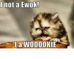 ewok.JPG