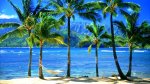 Hawaiian-Desktop-Wallpaper-Hawaii-Beach.jpg