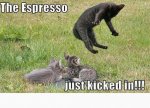 espresso.JPG