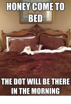 dot cat.jpg