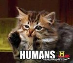 aliens humans cat.jpg