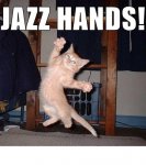 jazz kitty.jpg