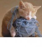 kitty yarn.jpg