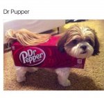 dr pepper dog.jpg