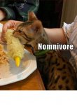 nomnivore.JPG