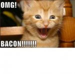 OMG Bacon.jpg