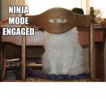 ninja cat2.jpg