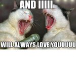 singing cats.jpg