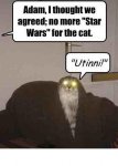 star wars cat.JPG