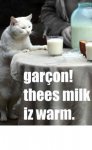 warm milk.JPG