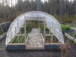 hoop houses.jpg
