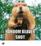 beaver shot.jpg