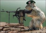 squirrel with machine gun.jpg