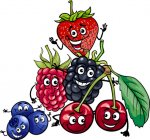 photodune_5038436_berry_fruits_group_cartoon_illustration_s__14489.1426128000.490.588.jpg