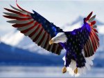 American Eagle.jpg