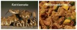 Rattlesnake-picture-with-pasta-1024x407.jpg