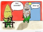 funny-summer-cartoon-picture-1399907492gk48n.jpg