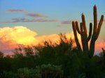 AZ Sunset 1.jpg