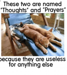 thoughts and prayers.png