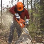 chainsaw-buying-guide-inline-safety.jpg