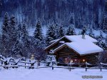 dreamy-snow-scene-Snow_2001_wallcoo.com.jpg